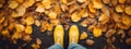 yellow boots on autumn leaves in the park. protect your feet from the rain. Autumn has come. yellow leaves.