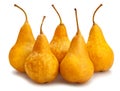 Yellow bosc pears Royalty Free Stock Photo