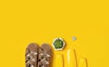 Yellow bottles of sunscreen cream, women`s sandals, green succulent on bright yellow background top view flat lay copy