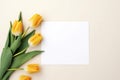 Yellow bouquet of flowers tulips background on beige background with empty space for text Royalty Free Stock Photo