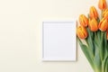 Yellow bouquet of flowers tulips background on beige background with empty space for text Royalty Free Stock Photo