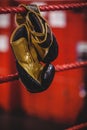 Yellow boxing gloves hanging off the boxing ring Royalty Free Stock Photo