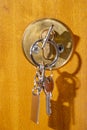 yellow brass lock with a diagonal groove with an inserted key, two screws to be fixed in the varnished wooden door.