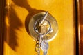 yellow brass lock with a diagonal groove with an inserted key, two screws to be fixed in the varnished wooden door.