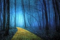 Yellow Brick Road leading through a spooky forest Royalty Free Stock Photo