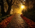 yellow brick road leads through a foggy forest.