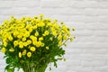 Yellow bright bouquet of wild flowers in a vase Royalty Free Stock Photo