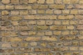 Yellow brown brick wall texture with light grey pointing