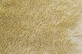 Yellow brown fur texture Royalty Free Stock Photo