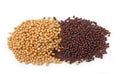 Yellow and brown mustard seeds