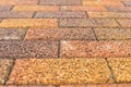 Yellow and brown street wet weathered pavement outdoor tiles, close-up. Selective focus. Texture background. Front view Royalty Free Stock Photo