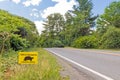 Turtle crossing warning sign next to road Royalty Free Stock Photo