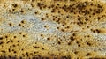 Yellow, brown and white rusty metal background. Royalty Free Stock Photo