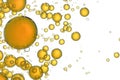 Yellow bubbles isolated over white