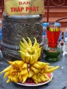 Yellow \'Buddha hands\' cedars as an offering at a pagoda in Hanoi, Vietnam.