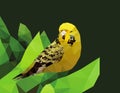 Yellow Budgie parrot bird low polygon on green leaf background, colorful cockatoo modern geometric icon, black wings parakeet pet Royalty Free Stock Photo