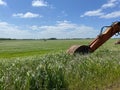 Yellow bulldozer pushing its blade through a field of tall grass on a rural farm