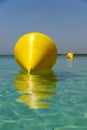 Yellow buoy