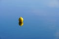 Yellow buoy on the blue calm surface of the sea Royalty Free Stock Photo