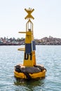 Yellow Buoy Covered by Sunbathing Sea Lions in Ensenada Royalty Free Stock Photo