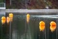 Yellow buoys against the blue water. Restriction on open water. Royalty Free Stock Photo