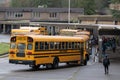 Yellow buses unloading kids at the school