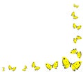 Yellow butterflies Royalty Free Stock Photo