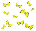 Yellow butterflies Royalty Free Stock Photo