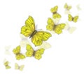 Yellow butterflies background Royalty Free Stock Photo