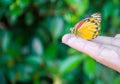 yellow butterfly is on hand among nature background Royalty Free Stock Photo