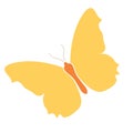 Yellow butterfly icon, stock logo isolated white background. Colorful beautiful color wings symbol. Vector tropical nature Royalty Free Stock Photo