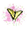 Yellow butterfly on pink flowers isolated on white background, watercolor Royalty Free Stock Photo