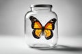 Yellow butterfly in a transparent glass jar on white background. Royalty Free Stock Photo