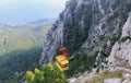 The yellow cab of the funicular with people inside climbs the Ai Petri mountain in the Crimea. Top-down view of the mountains,