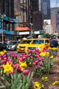 Yellow cab speeds through Times Square in New York. Royalty Free Stock Photo