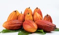 Yellow cacao fruits pile