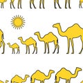 Yellow camels caravan and sun over white background pattern.