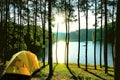 Yellow camping tents in pine tree forest by the lake at Pang Oung Lake (Pang Tong reservoir), Mae hong son, Thailand.