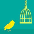 Yellow canary bird. Golden birdcage cell. Green background. Flat design style.