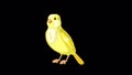 Yellow canary sings alpha matte 4K