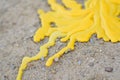 Yellow candle drippings Royalty Free Stock Photo