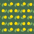 Yellow canistel, lucuma or egg fruit seamless pattern on green background