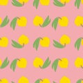 Yellow canistel, lucuma or egg fruit seamless pattern on pink background