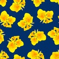 Yellow Canna indica - Canna lily, Indian Shot on Navy Blue Background. Vector Illustration