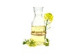 Yellow canola or rapeseed flowers with oil Royalty Free Stock Photo