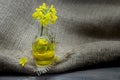 Yellow canola or rapeseed flowers with oil Royalty Free Stock Photo