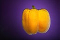 Yellow capsicum