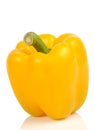 Yellow capsicum