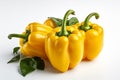 Yellow Capsicum