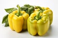 Yellow Capsicum